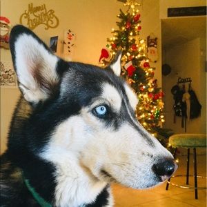 Meet your Posher, Mercedez